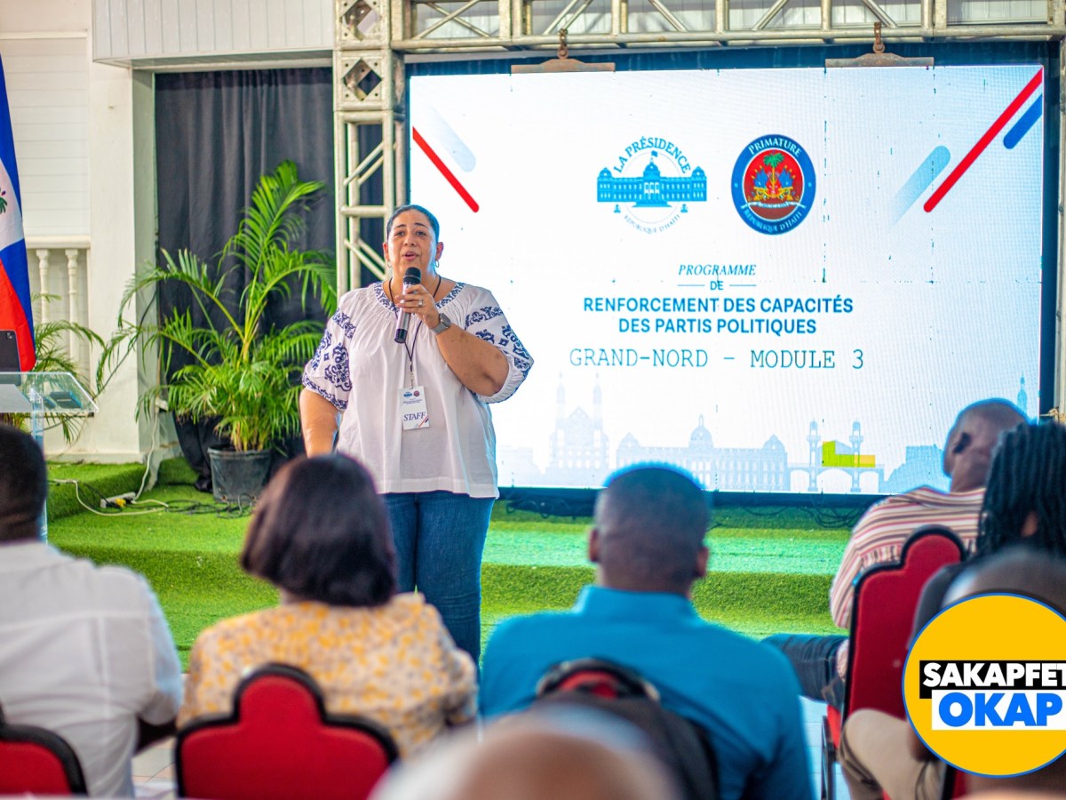 EN ROUTE VERS LES ÉLECTIONS EN HAÏTI (2026) : RENFORCEMENT NUMÉRIQUE DES PARTIS POLITIQUES